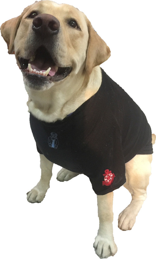 Wagging Fashion T,shirt for Dog Price in India , Buy Wagging